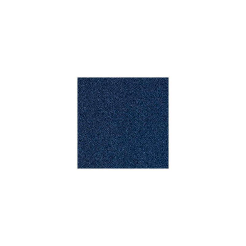 Moquette en laine Bleu 190