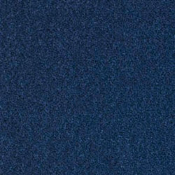 Moquette en laine Bleu 190