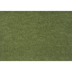 Moquette Écologique Dream - Coloris-Vert-Mousse 591