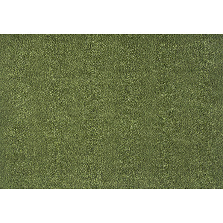 Moquette Écologique Dream - Coloris-Vert-Mousse 591